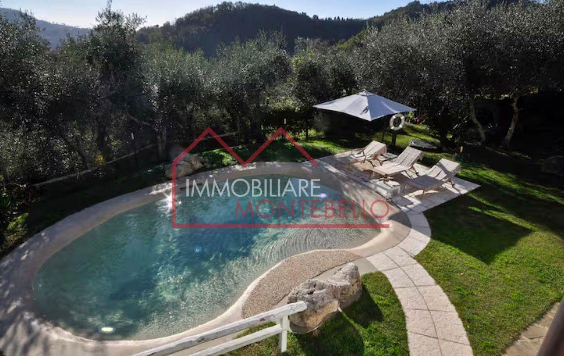 Rustico con giardino, Camaiore montebello