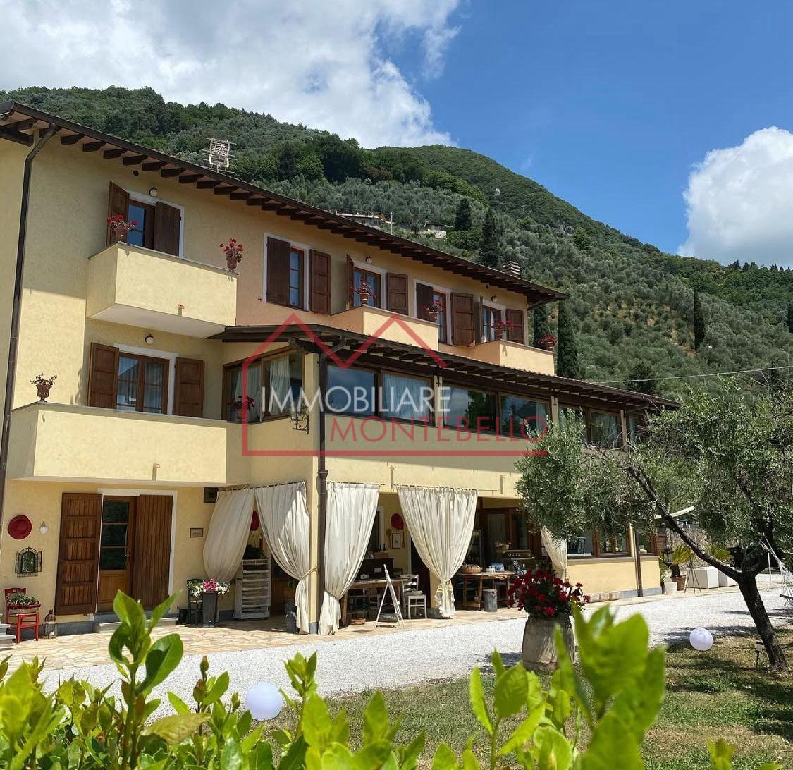 Attivit� commerciale in vendita, Camaiore vado