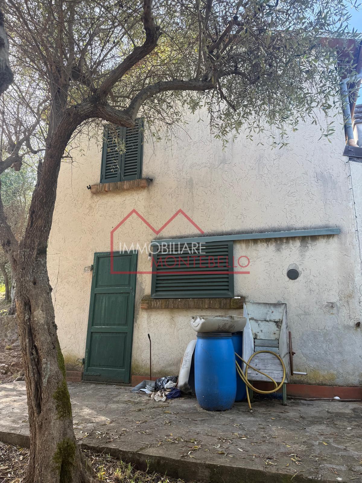 Casa indipendente con giardino, Camaiore greppolungo