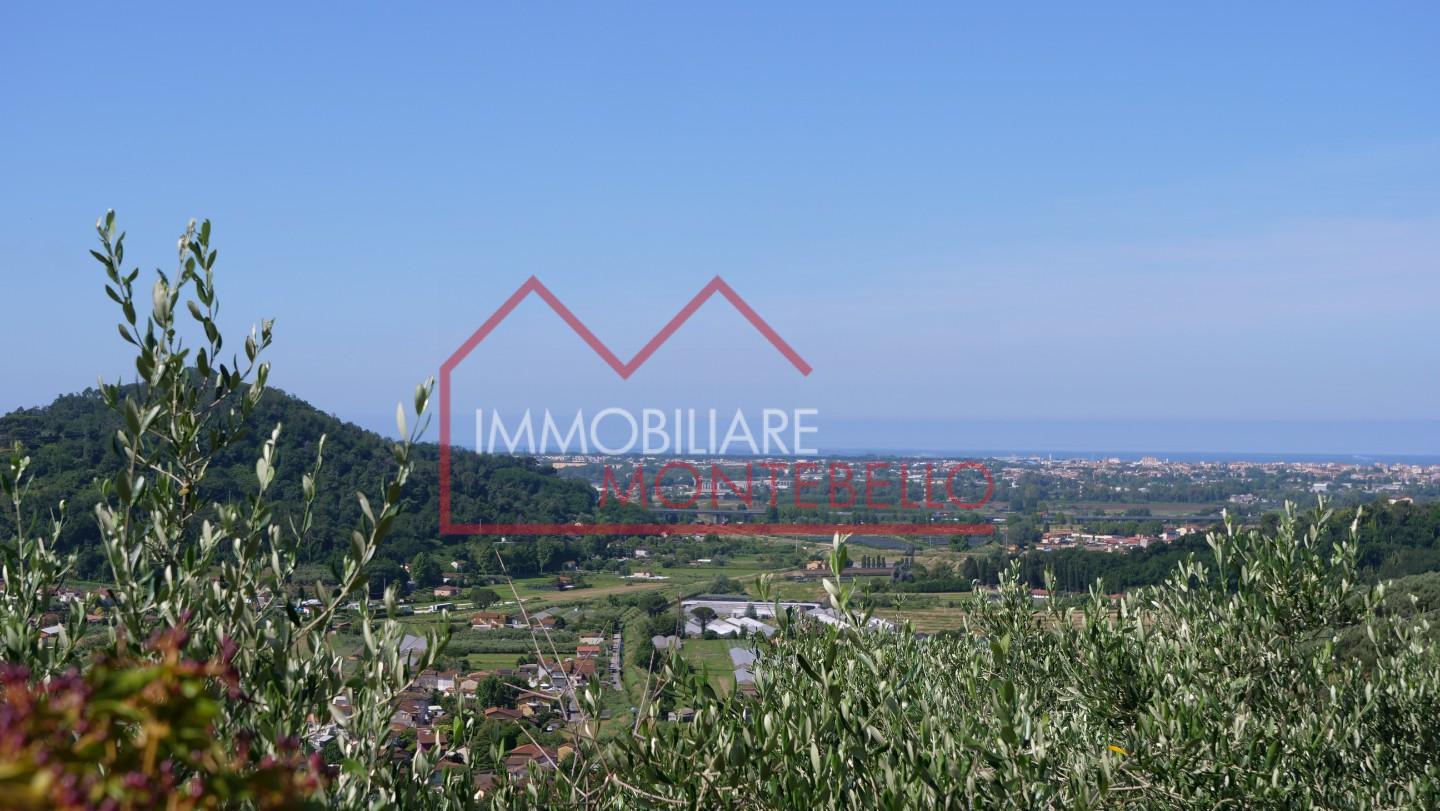 immagine annuncio 1 di 6