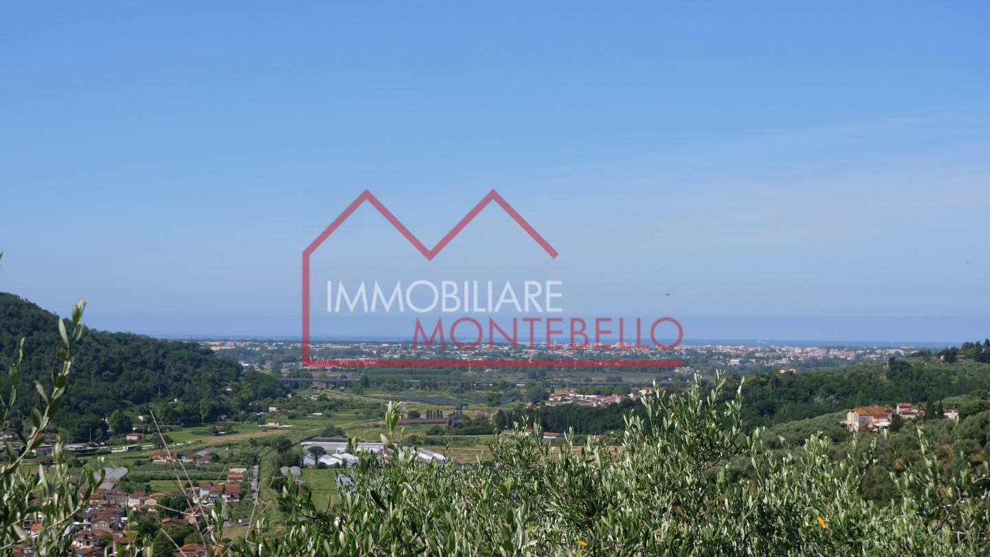 immagine annuncio 2 di 6