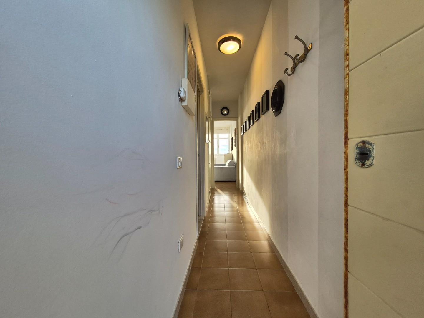 Bilocale arredato in affitto, Pisa marina di