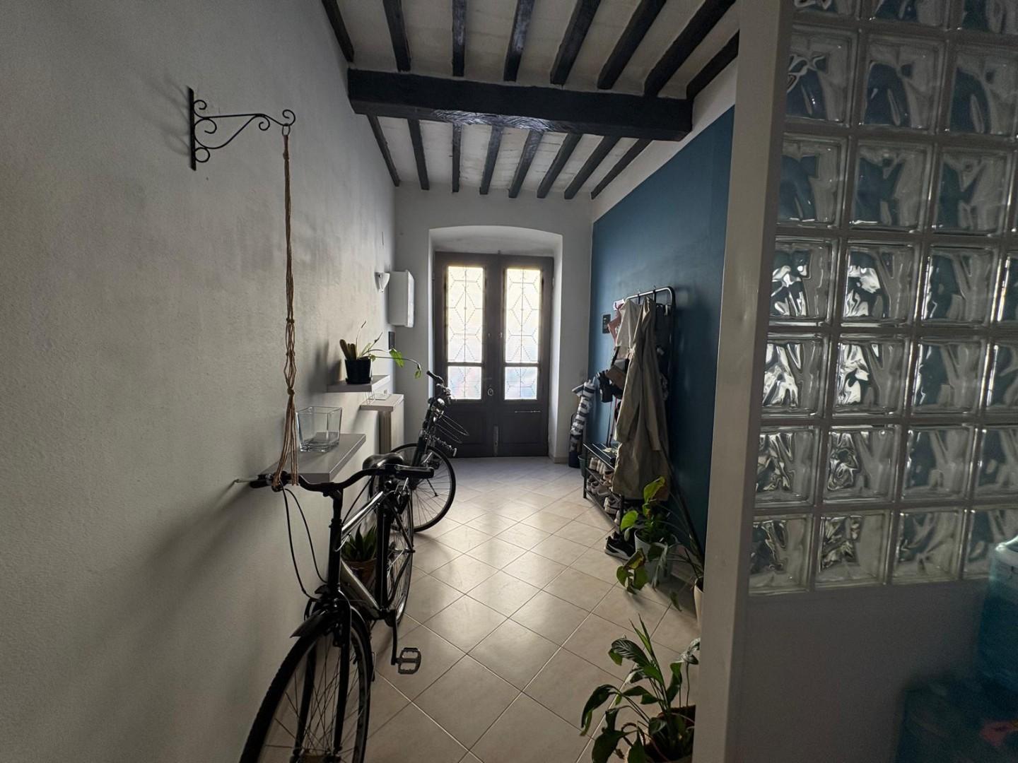 Trilocale arredato in affitto, Pisa borghetto