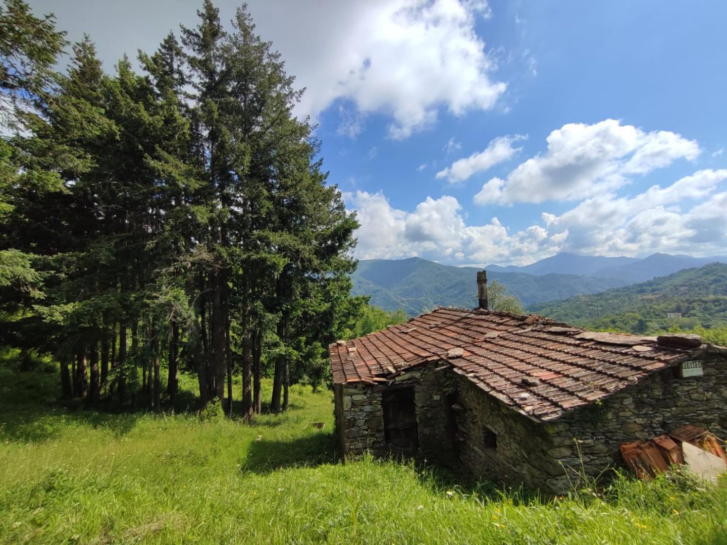 Rustico da ristrutturare, Leivi rostio