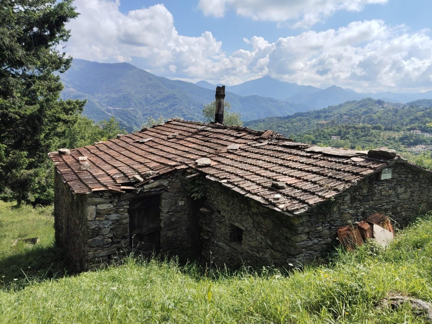 Rustico da ristrutturare, Leivi rostio