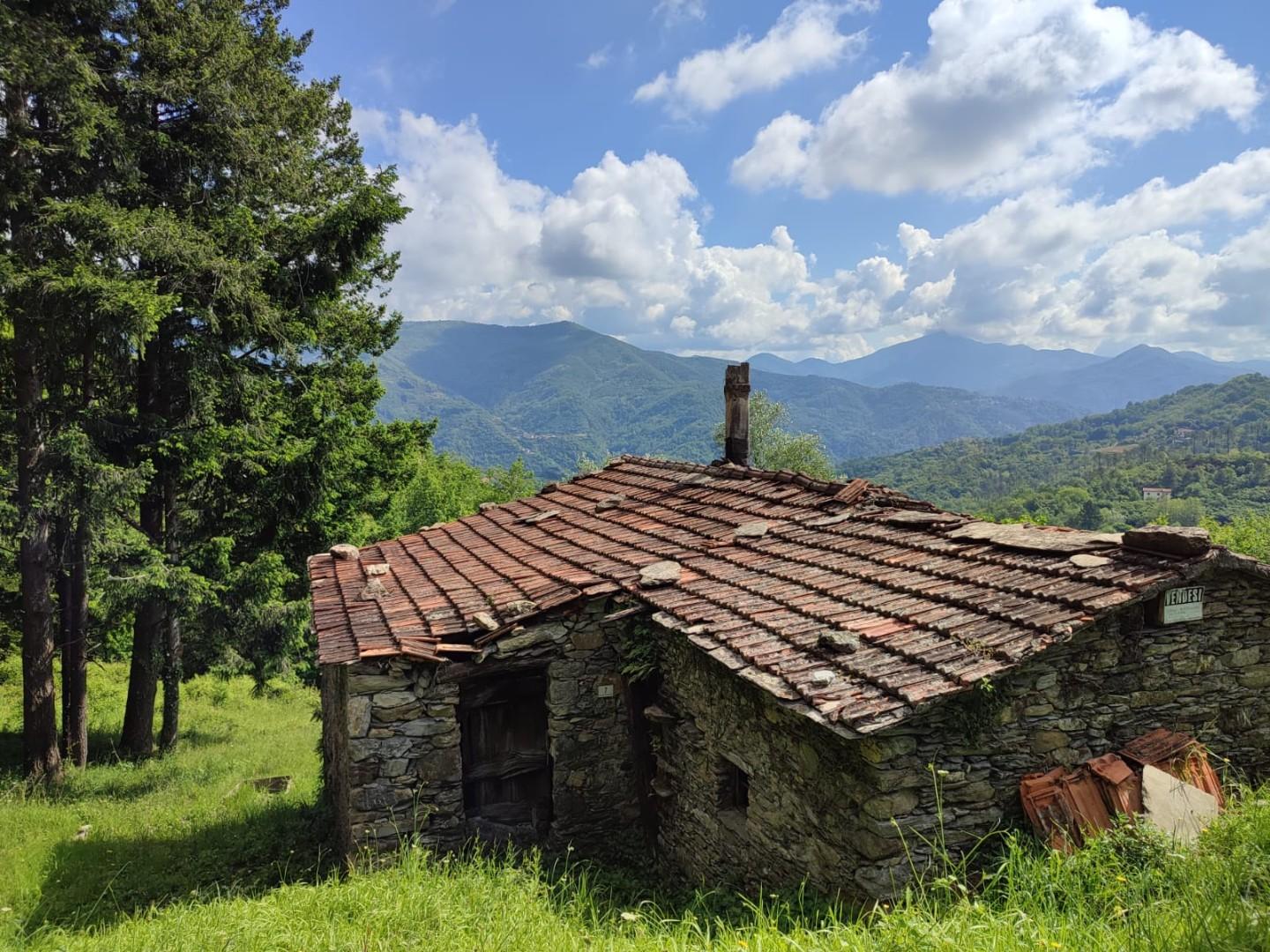 Rustico da ristrutturare, Leivi rostio