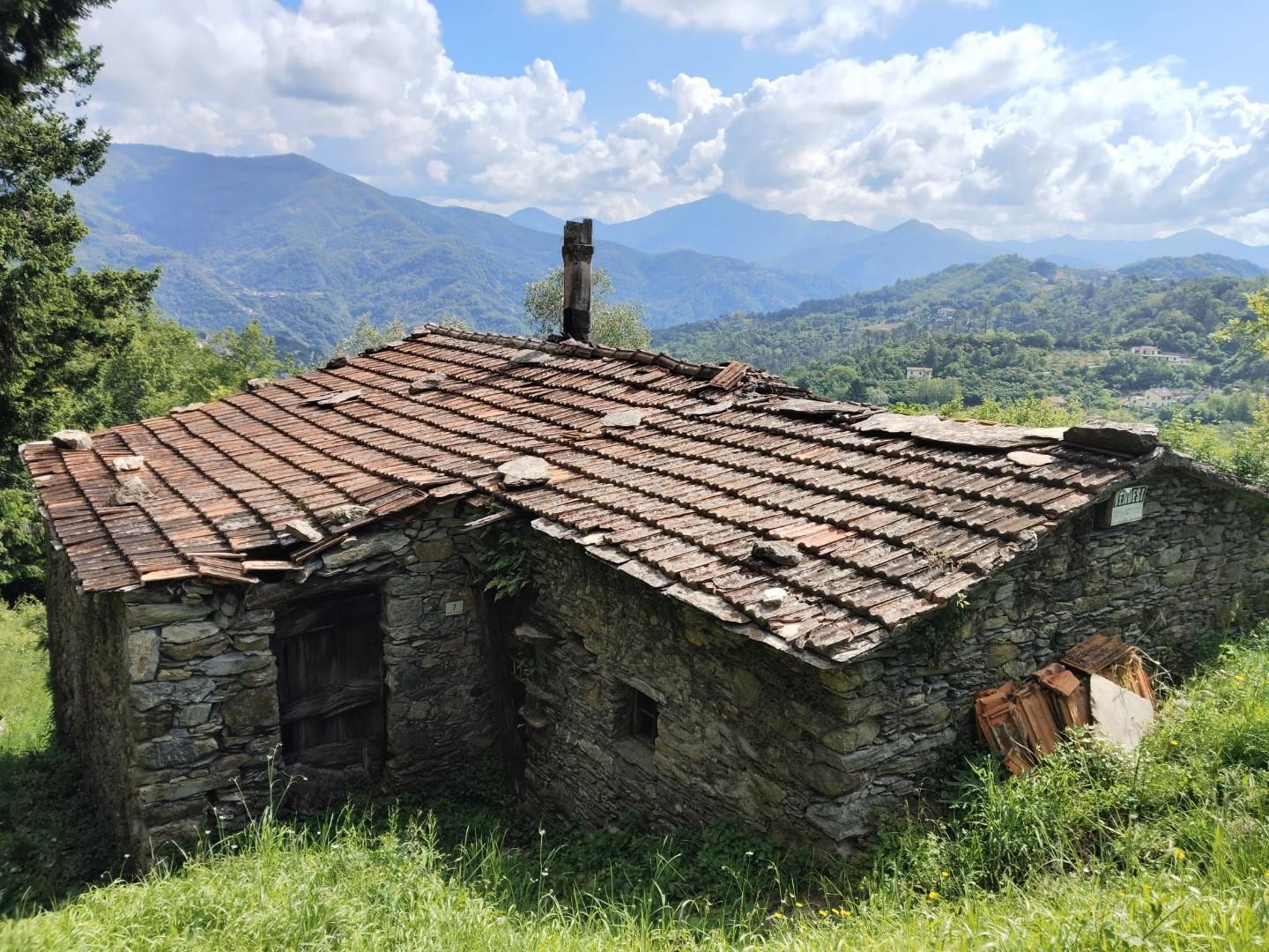 Rustico da ristrutturare, Leivi rostio