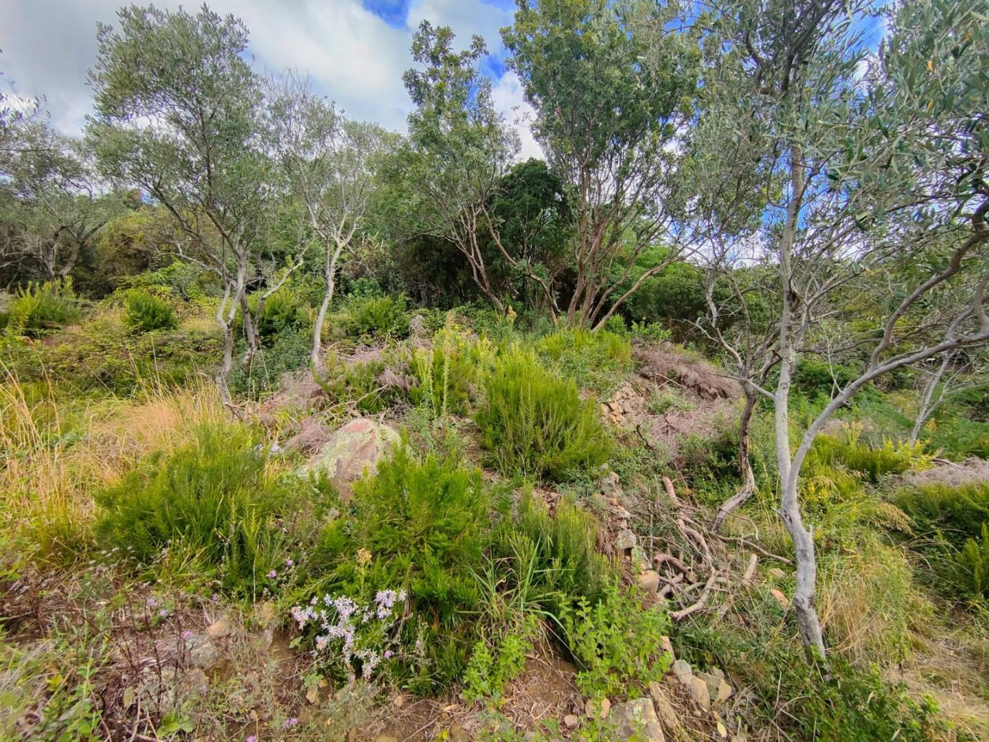 Terreno Edificabile vista mare a Deiva Marina