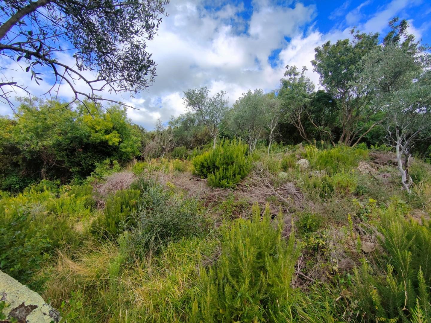 Terreno Edificabile vista mare a Deiva Marina