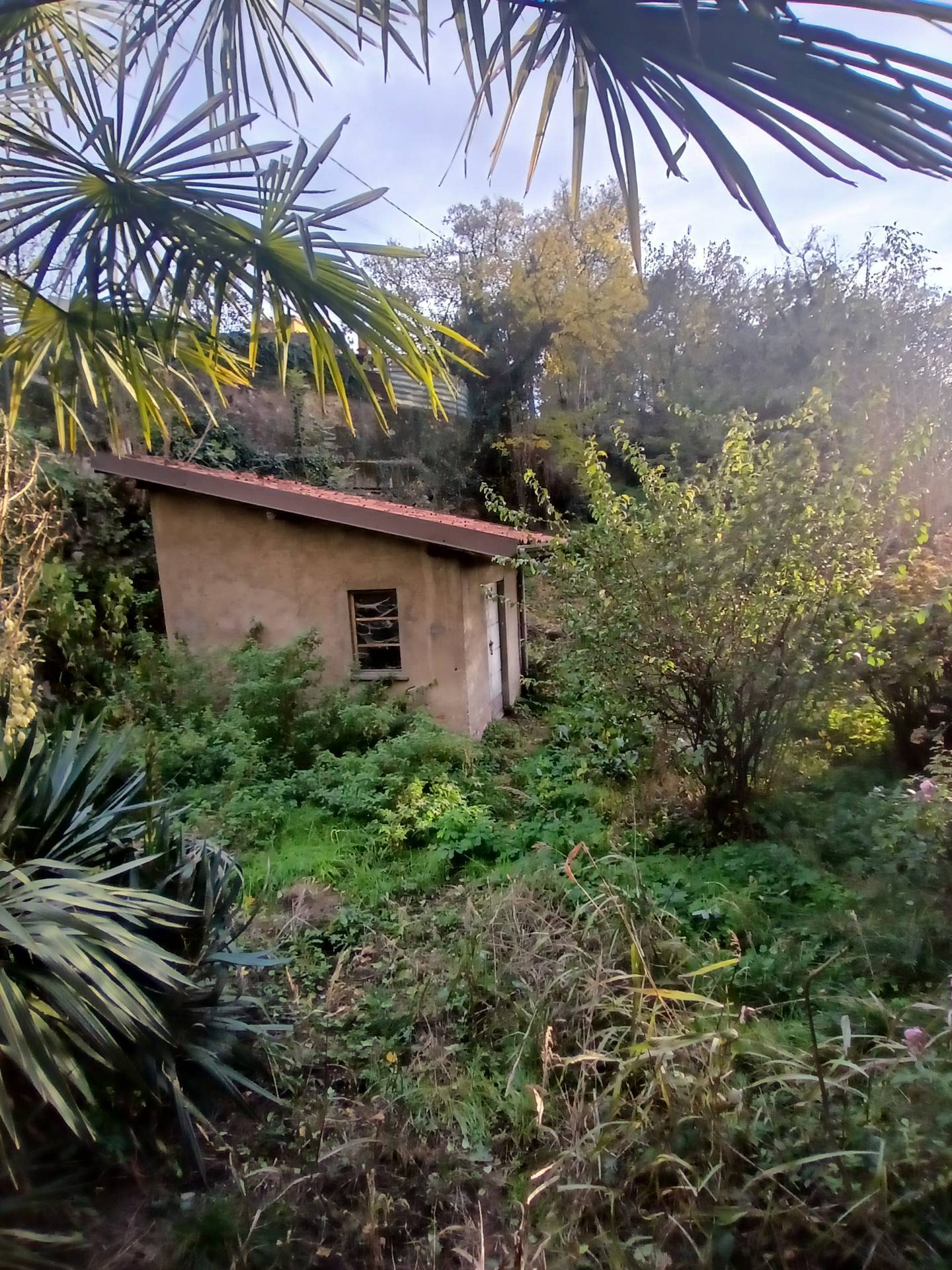 immagine annuncio 3 di 6