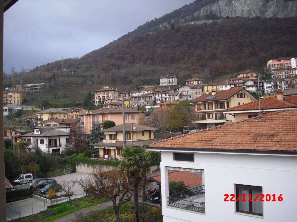 Appartamento in vendita a Cesana Brianza