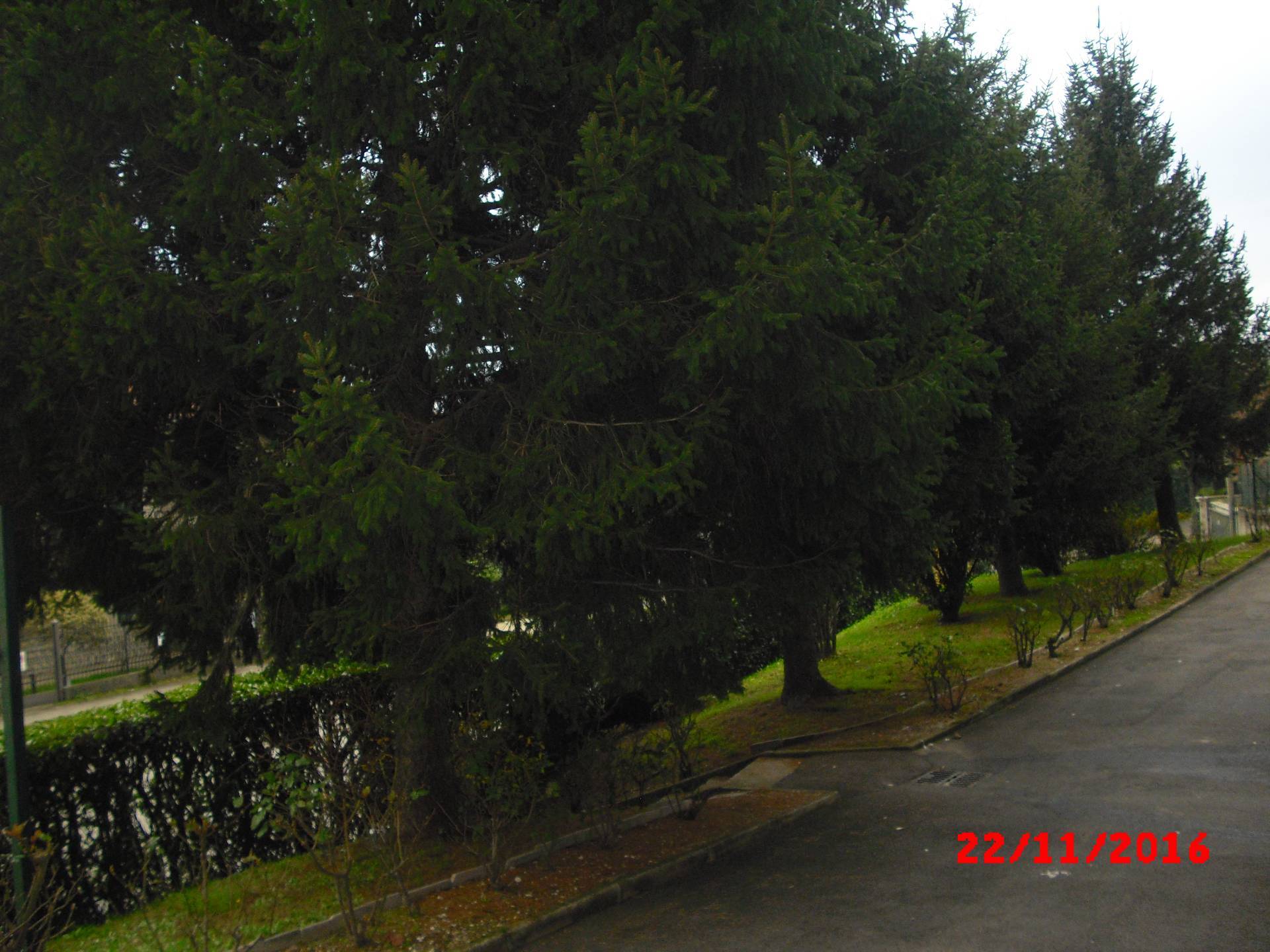 Appartamento in vendita a Cesana Brianza