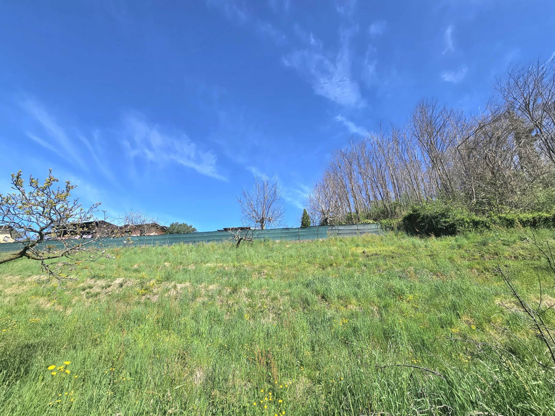 Terreno edificabile in vendita a Laveno-Mombello