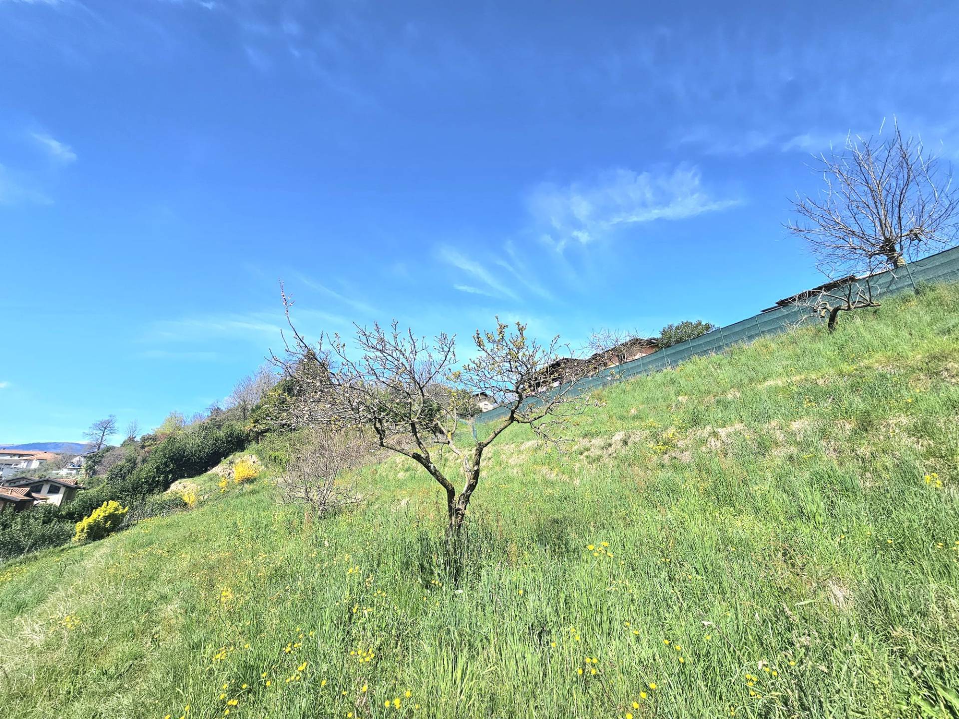 Terreno edificabile in vendita a Laveno-Mombello