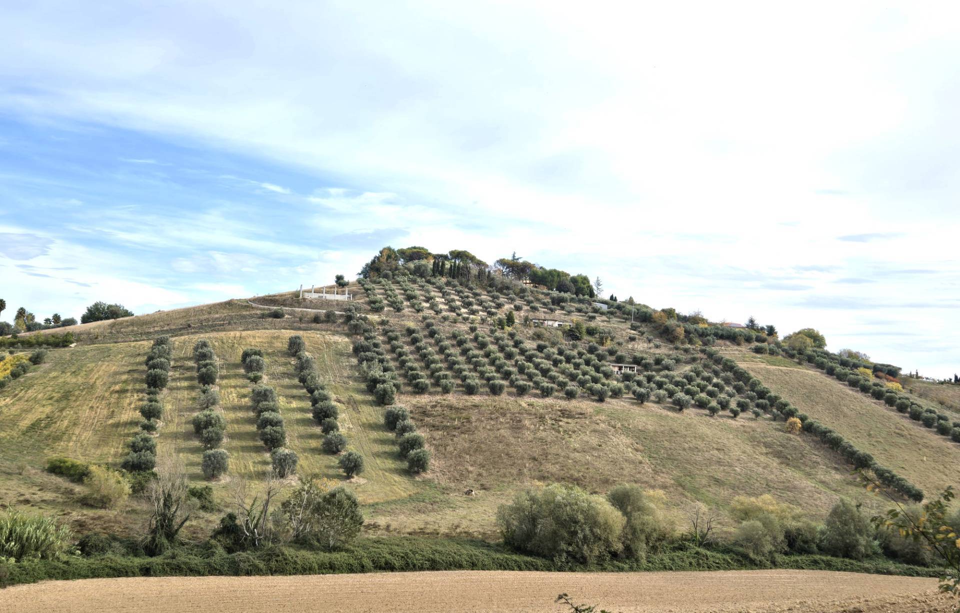 Terreno Agricolo in vendita a Monteprandone