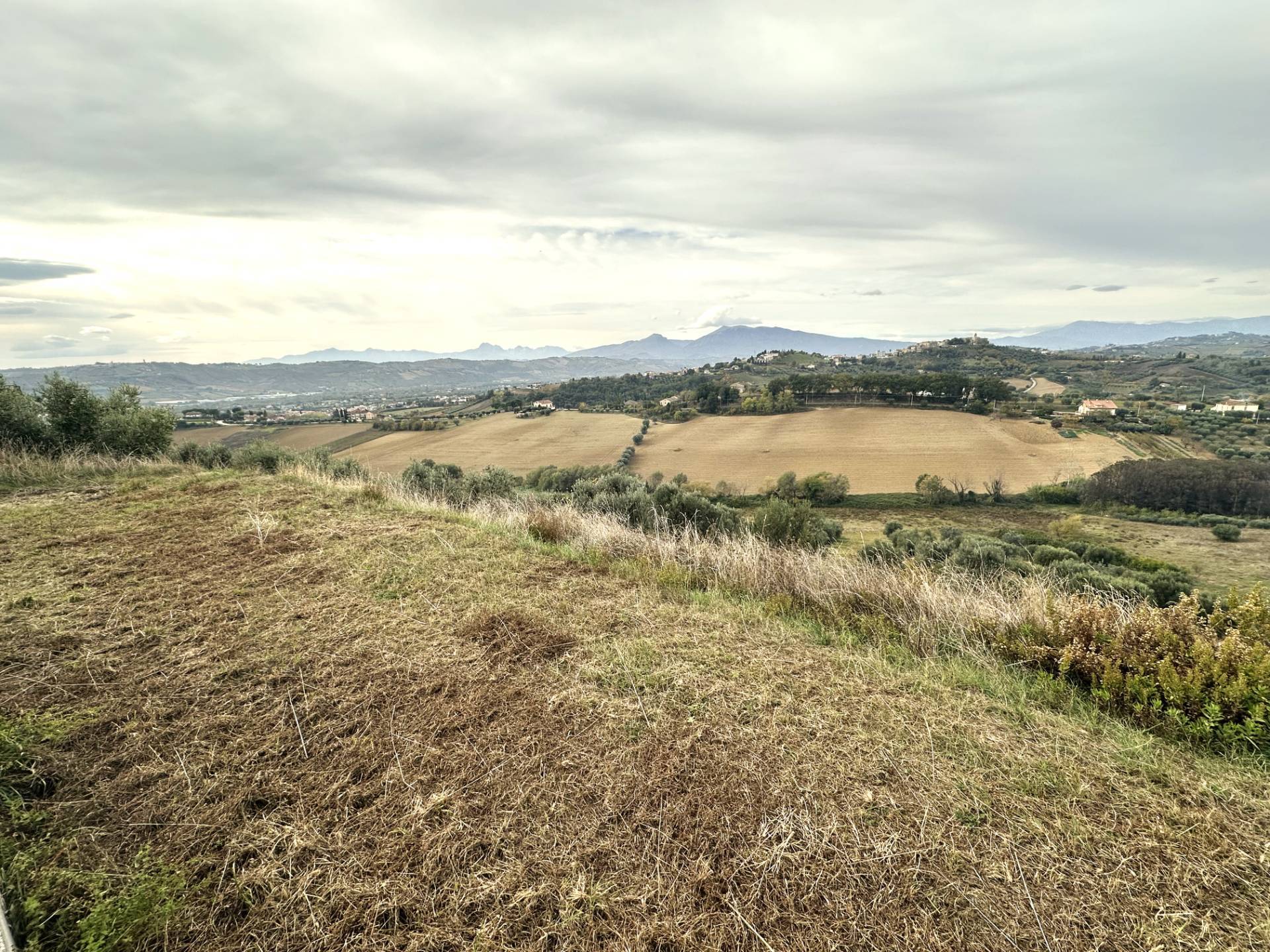 Terreno Agricolo in vendita a Monteprandone