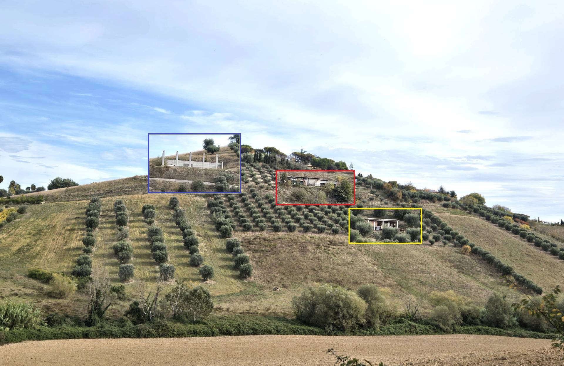 immagine annuncio 2 di 8