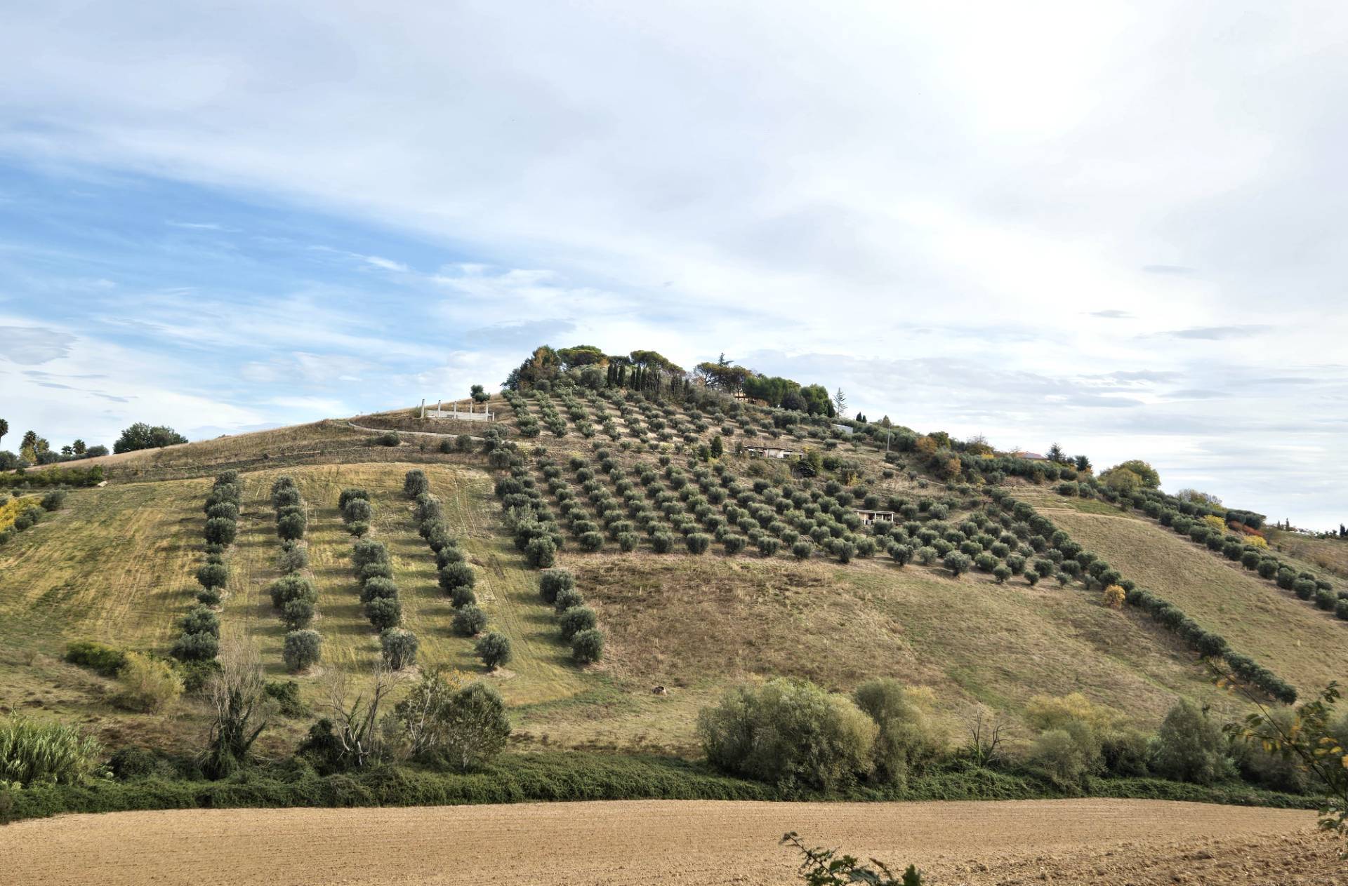 immagine annuncio 4 di 8