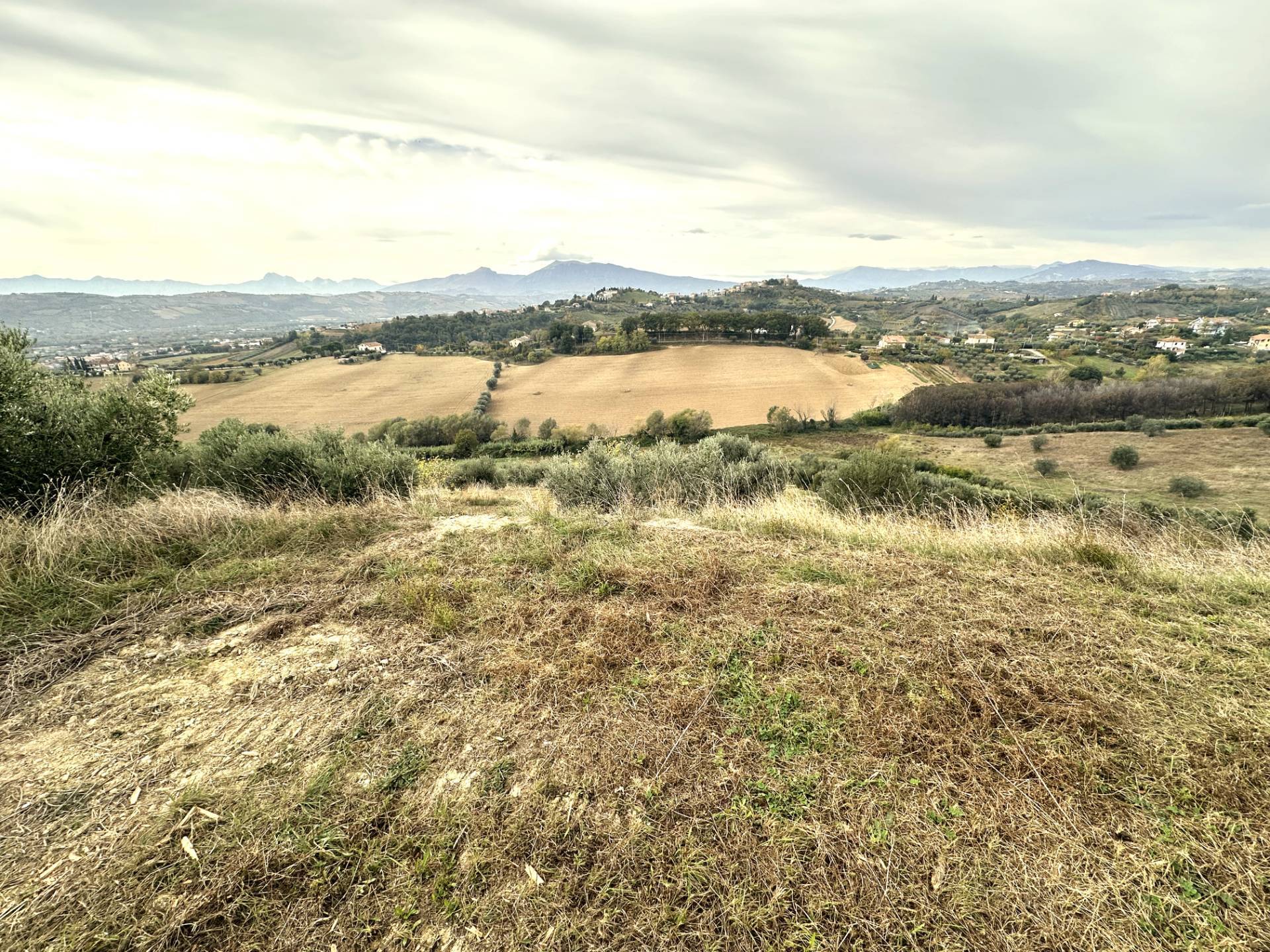 Terreno Agricolo in vendita a Monteprandone