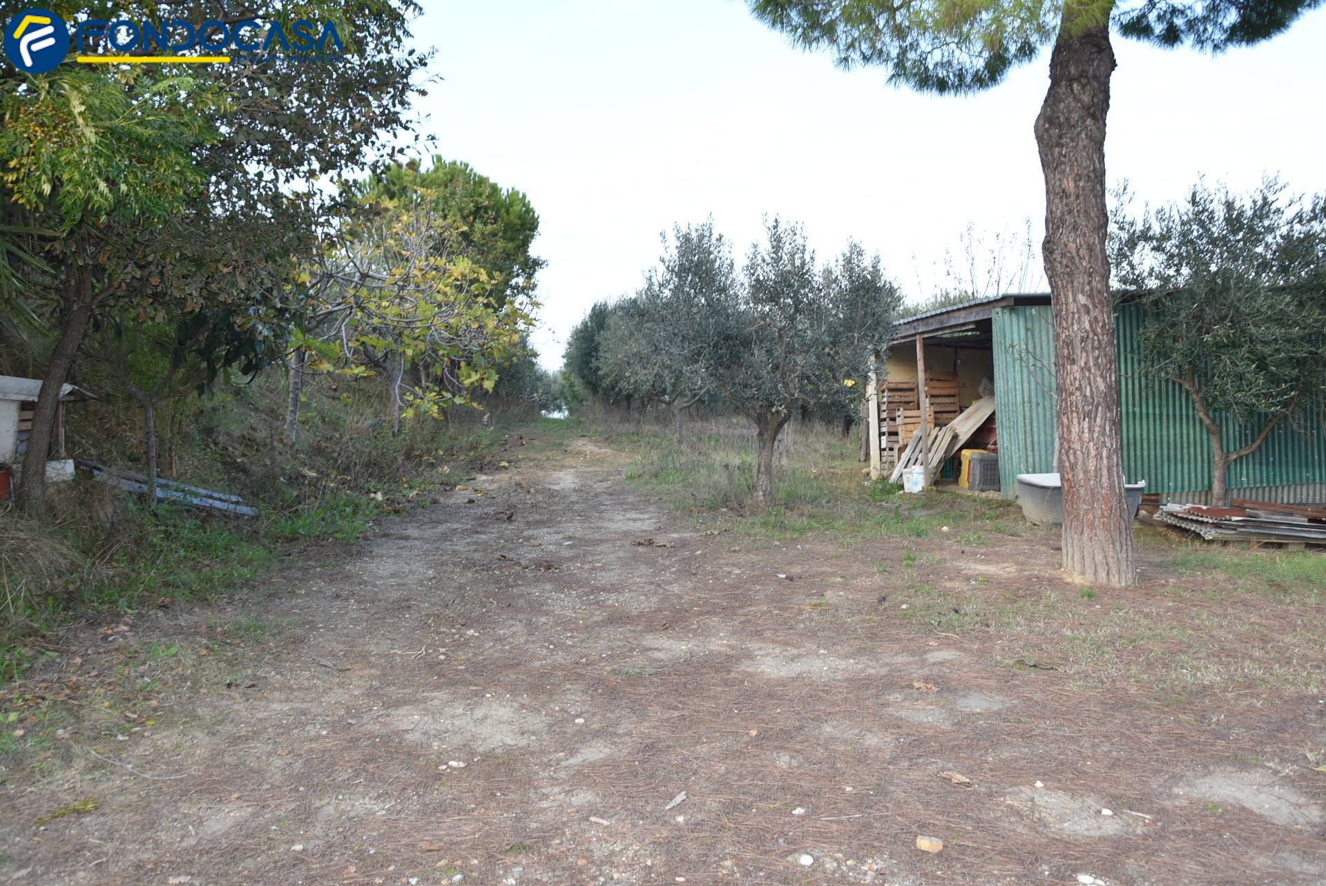 Casale di campagna in vendita a San Benedetto del Tronto
