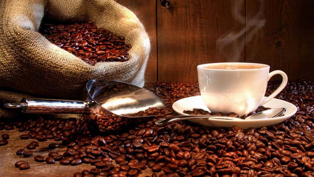 Attivit commerciale in vendita a Ascoli Piceno, Campo Parignano