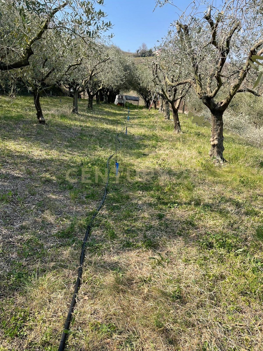 Terreno Agricolo in vendita in loc. postumat, Mezzane di Sotto