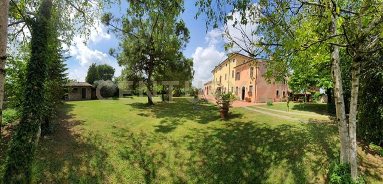 immagine annuncio 1 di 6