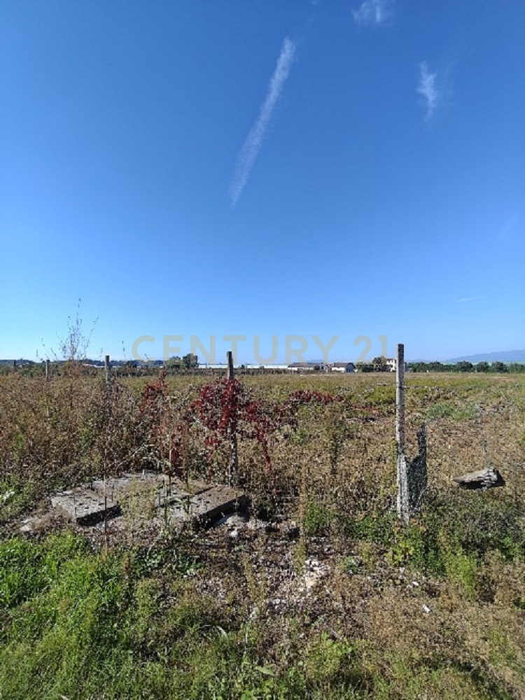 Terreno Agricolo in vendita in via siberie, Sommacampagna