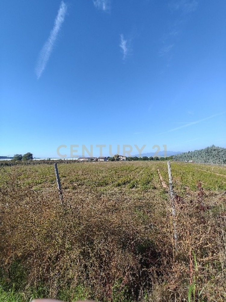 Terreno Agricolo in vendita in via siberie, Sommacampagna