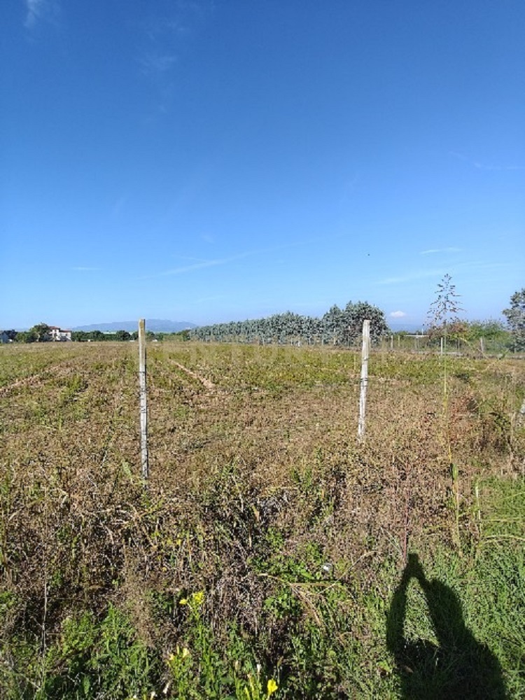 Terreno Agricolo in vendita in via siberie, Sommacampagna