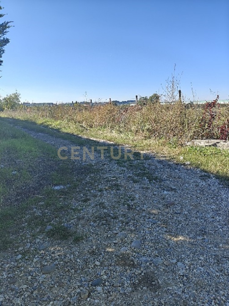 Terreno Agricolo in vendita in via siberie, Sommacampagna