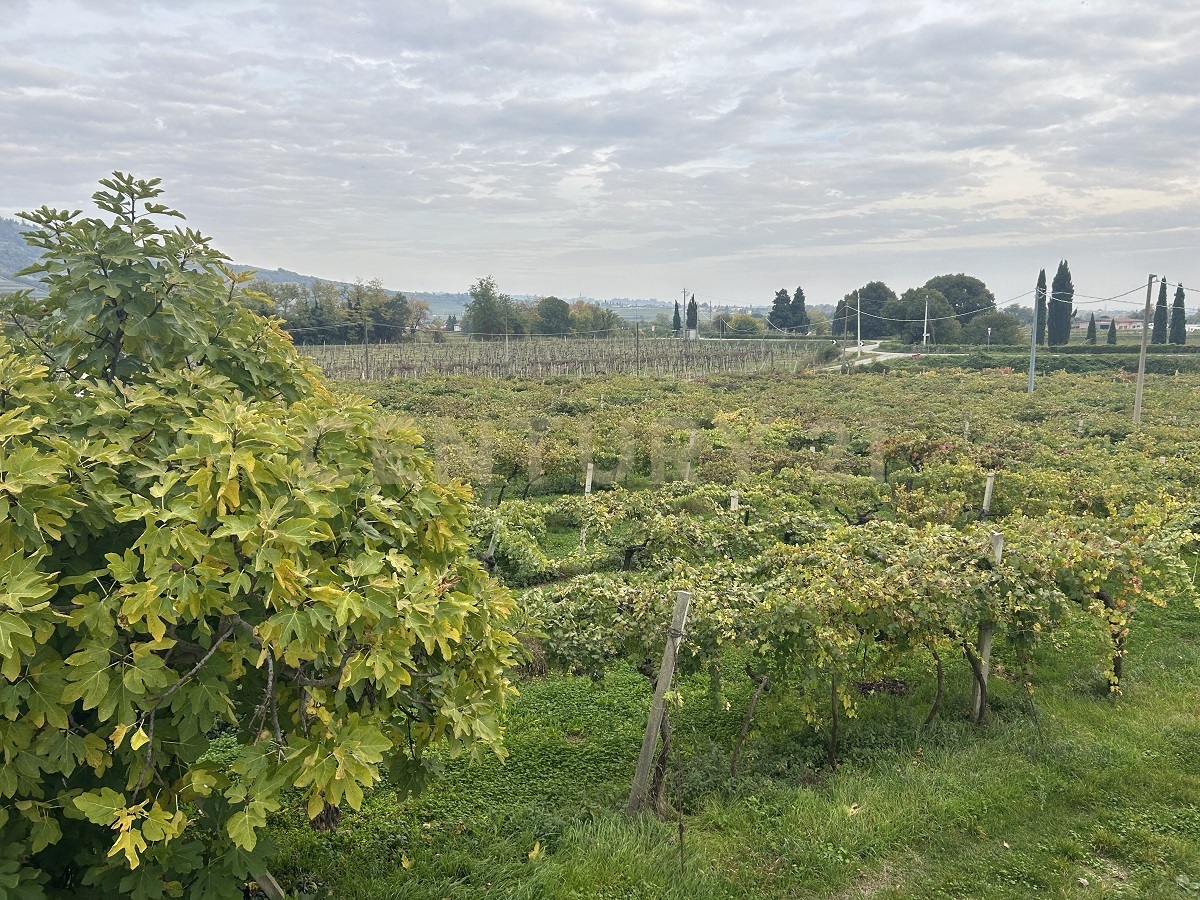 Rustico con giardino in via turano snc, Lavagno
