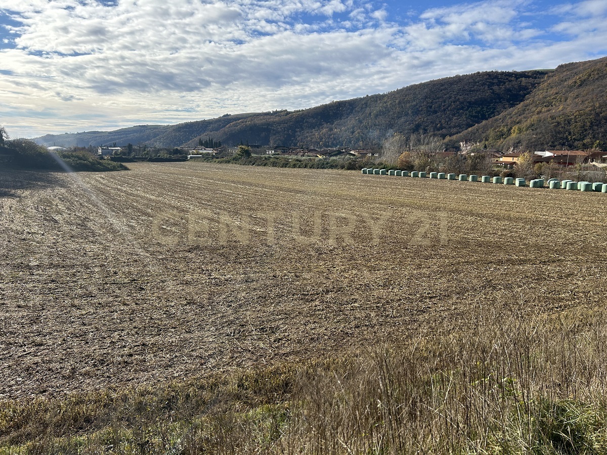 Terreno Edificabile in vendita in via don giovanni calabria, Tregnago