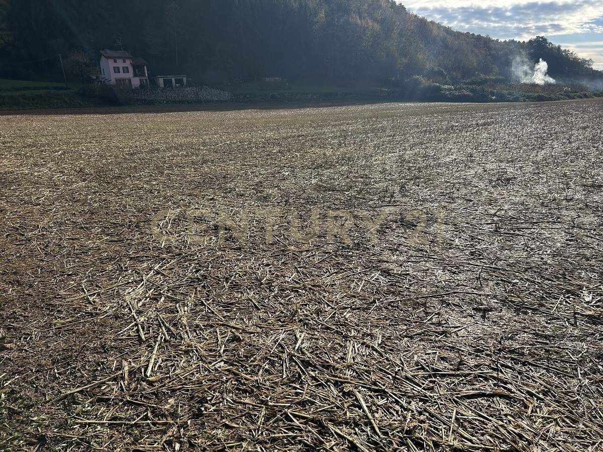 Terreno Edificabile in vendita in via don giovanni calabria, Tregnago