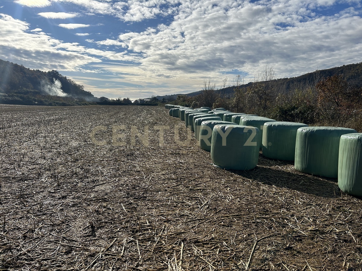 Terreno Edificabile in vendita in via don giovanni calabria, Tregnago