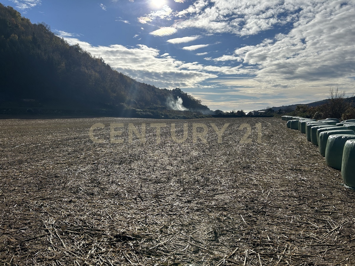 Terreno Edificabile in vendita in via don giovanni calabria, Tregnago