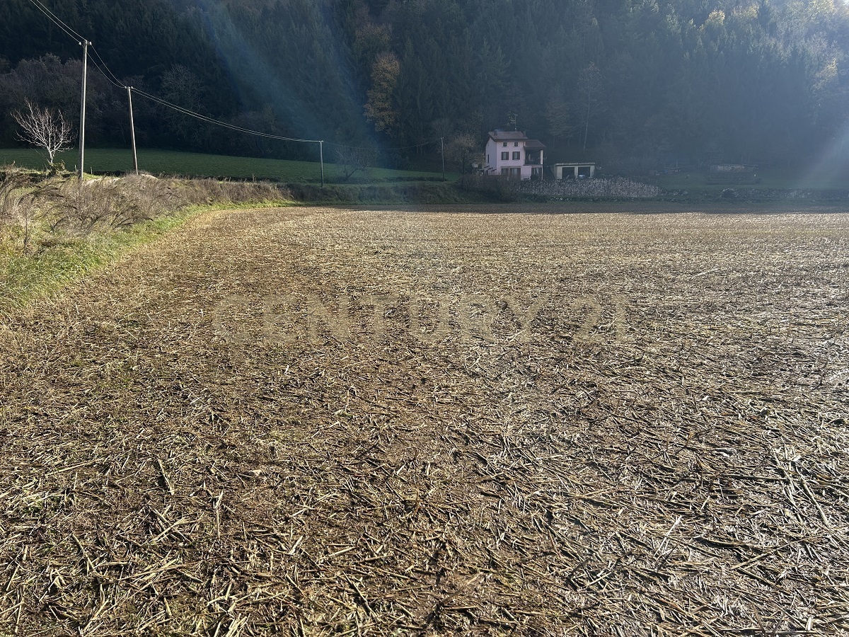 Terreno Edificabile in vendita in via don giovanni calabria, Tregnago
