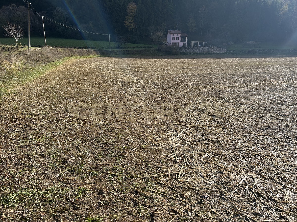 Terreno Edificabile in vendita in via don giovanni calabria, Tregnago