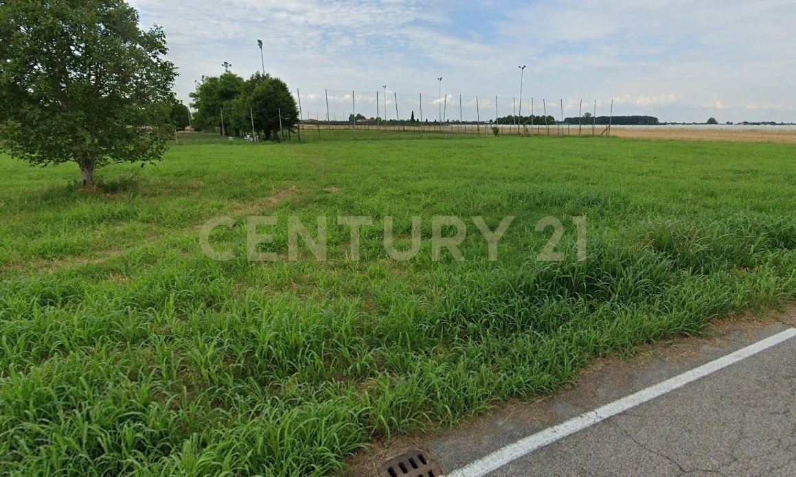 Terreno Agricolo in vendita in via don camillo faccioli 116, Bevilacqua