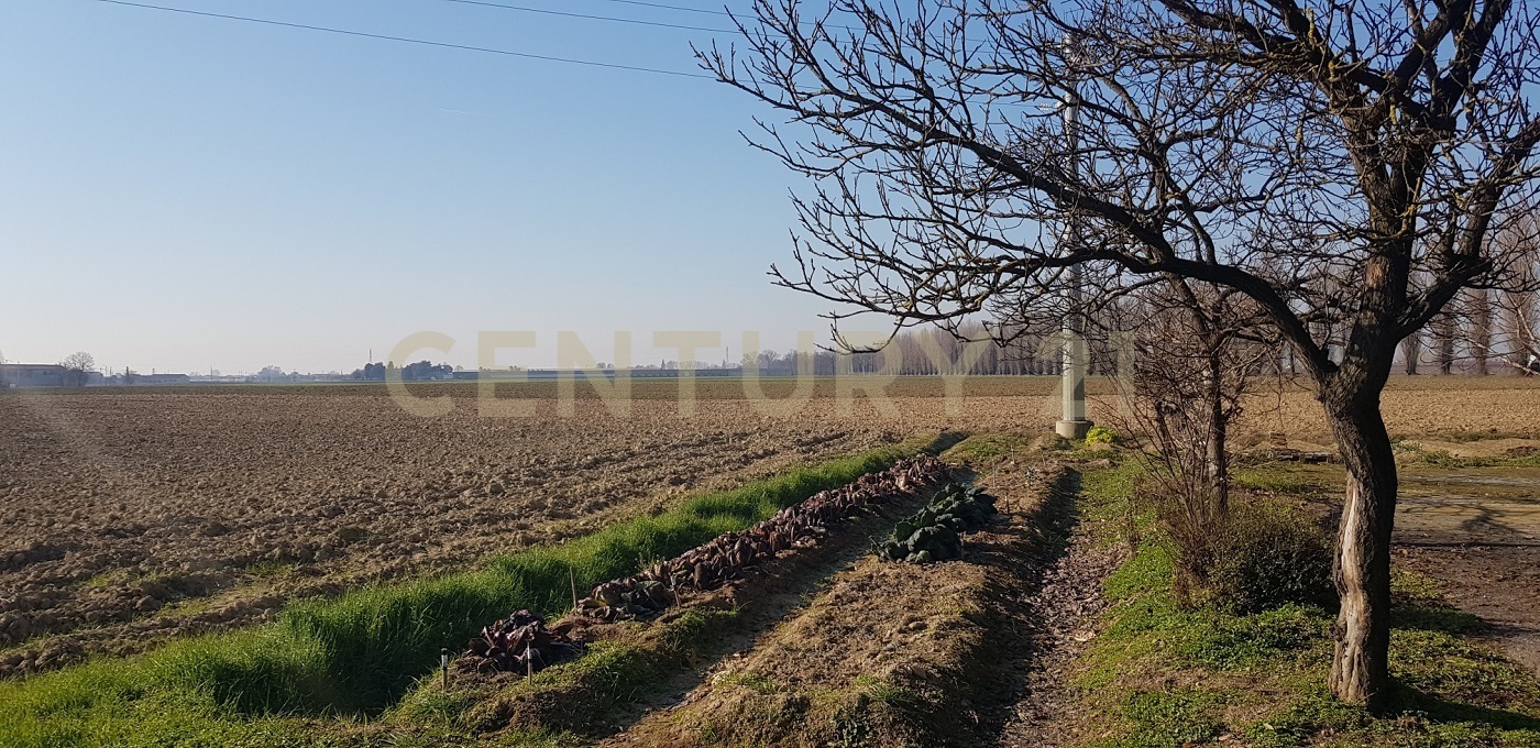 Terreno Agricolo in vendita in via c del lago 62, Cerea