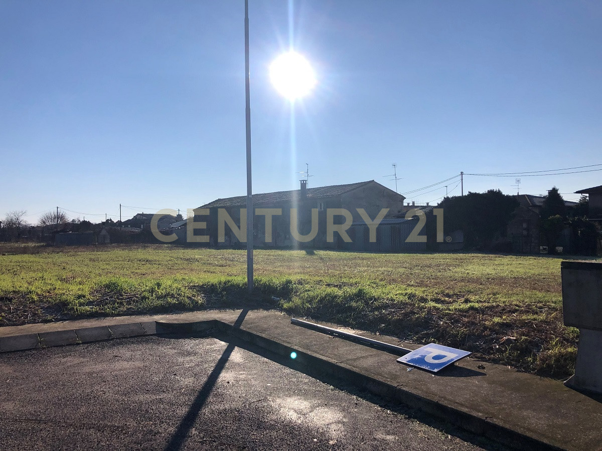 Terreno Agricolo in vendita in via angiaresca snc, San Pietro di Morubio