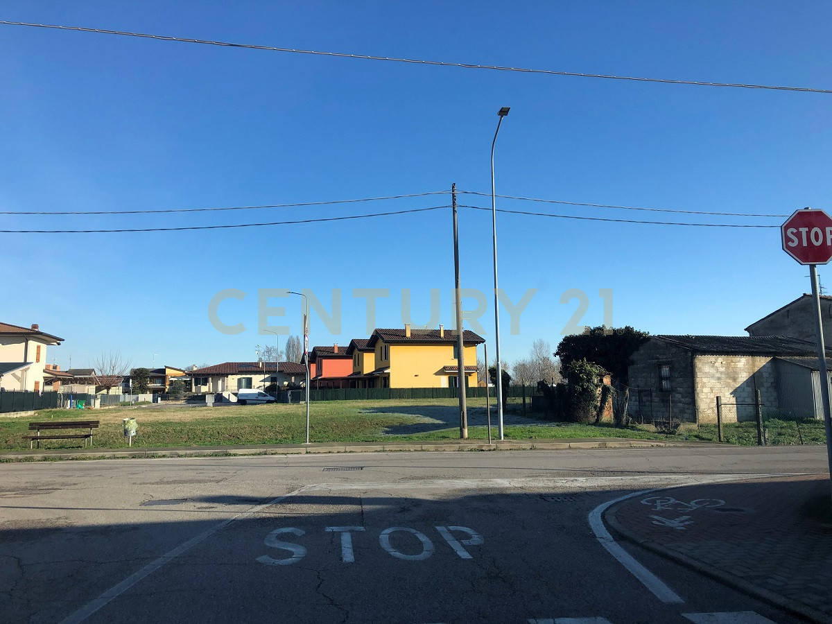 Terreno Agricolo in vendita in via angiaresca snc, San Pietro di Morubio