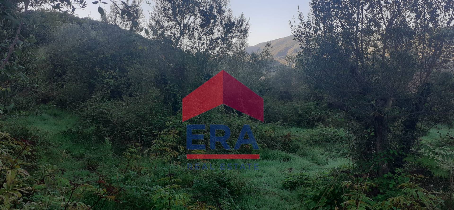 Terreno Edificabile in vendita a Sambuci