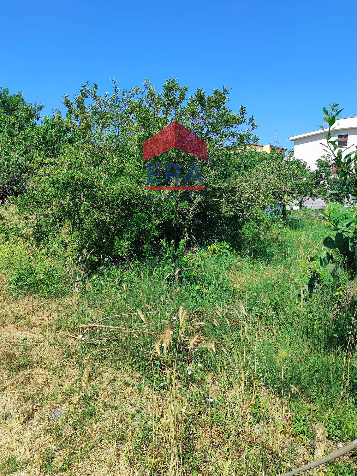 Terreno Edificabile in vendita a Roma, Ostia Antica