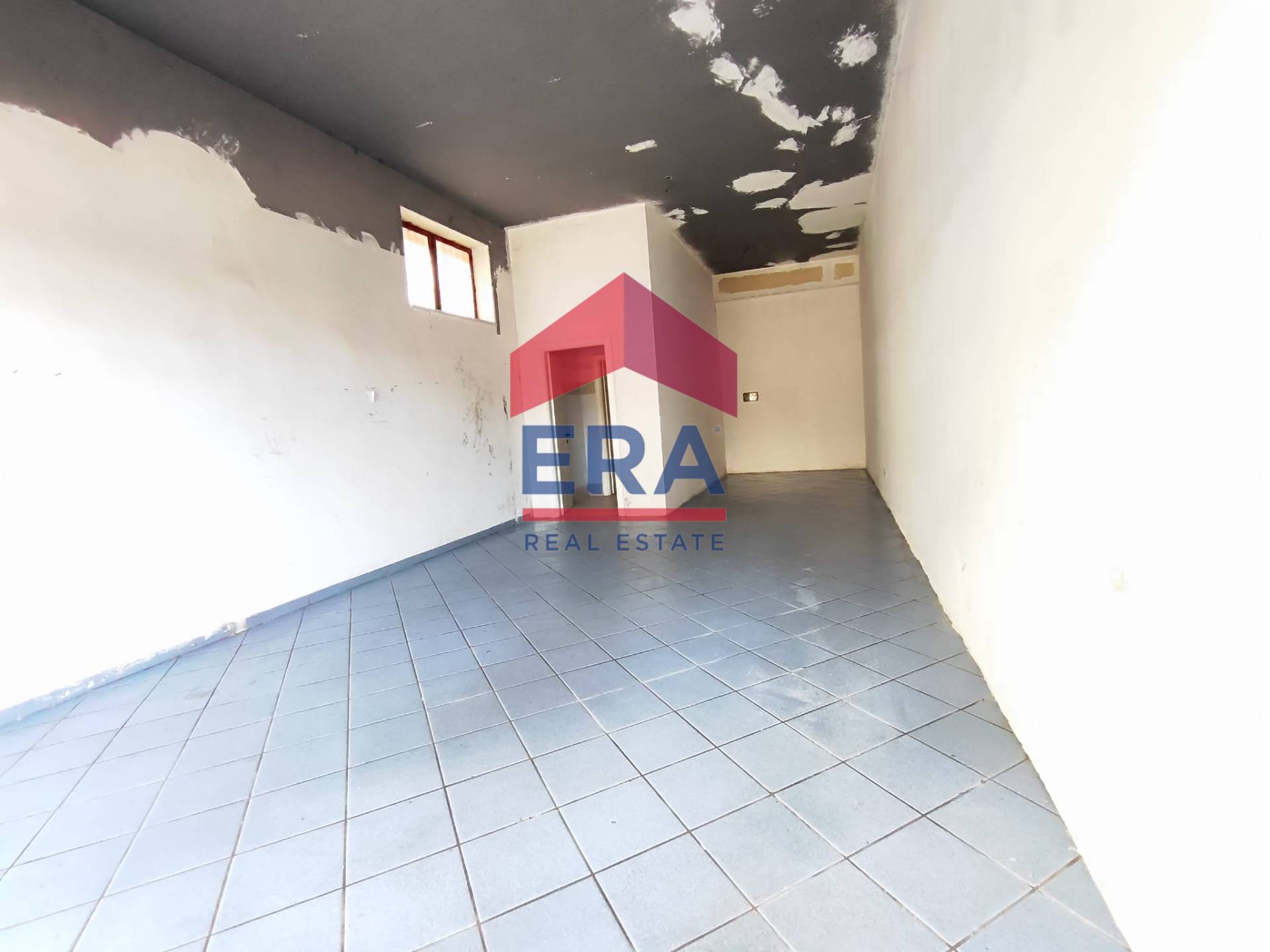 Negozio in affitto a Roma, Dragona