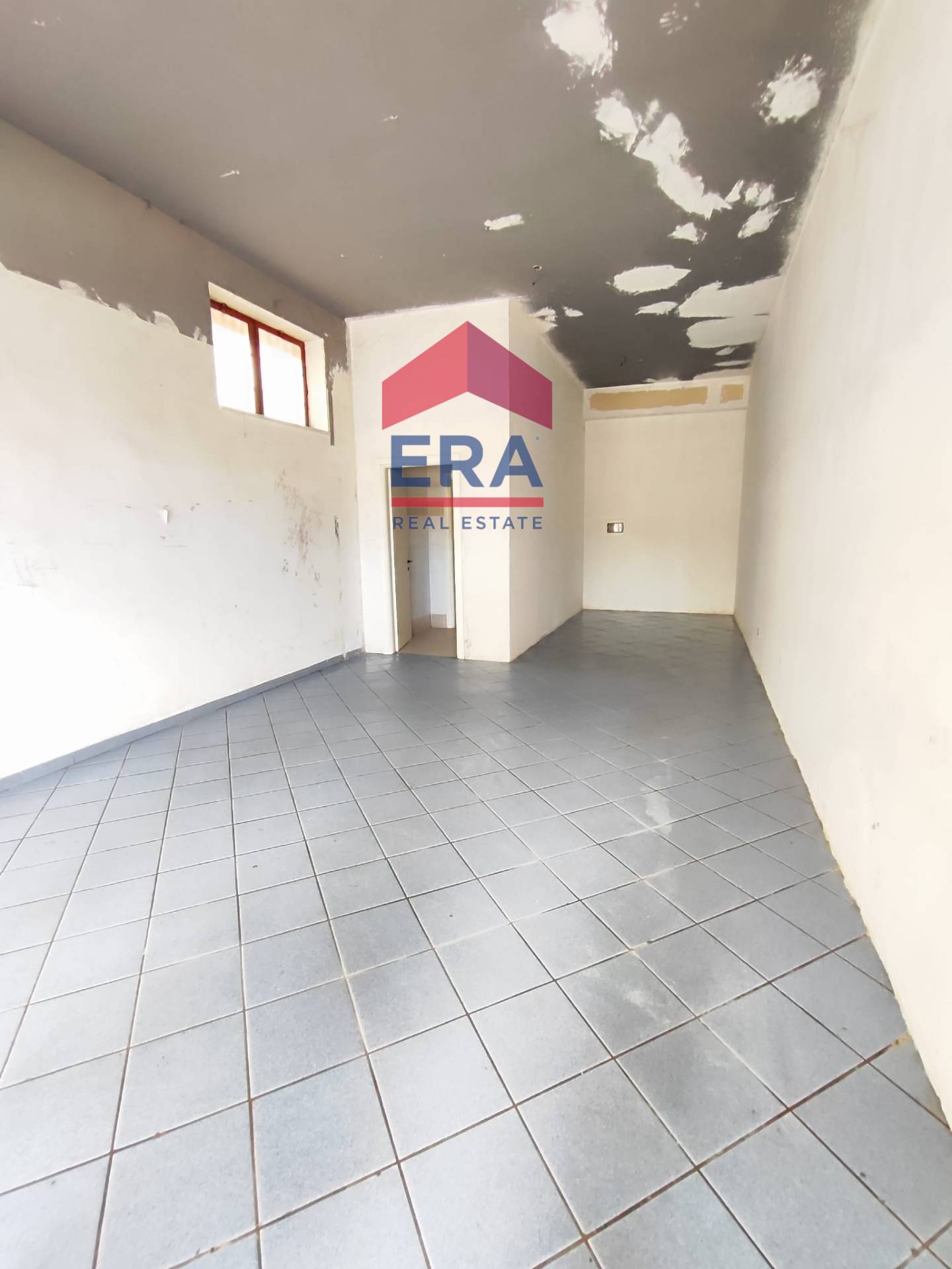 Negozio in affitto a Roma, Dragona