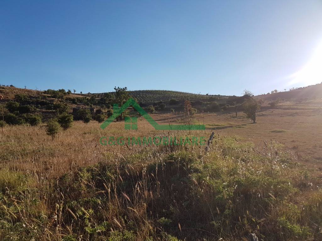 Terreno edificabile in vendita a Bronte