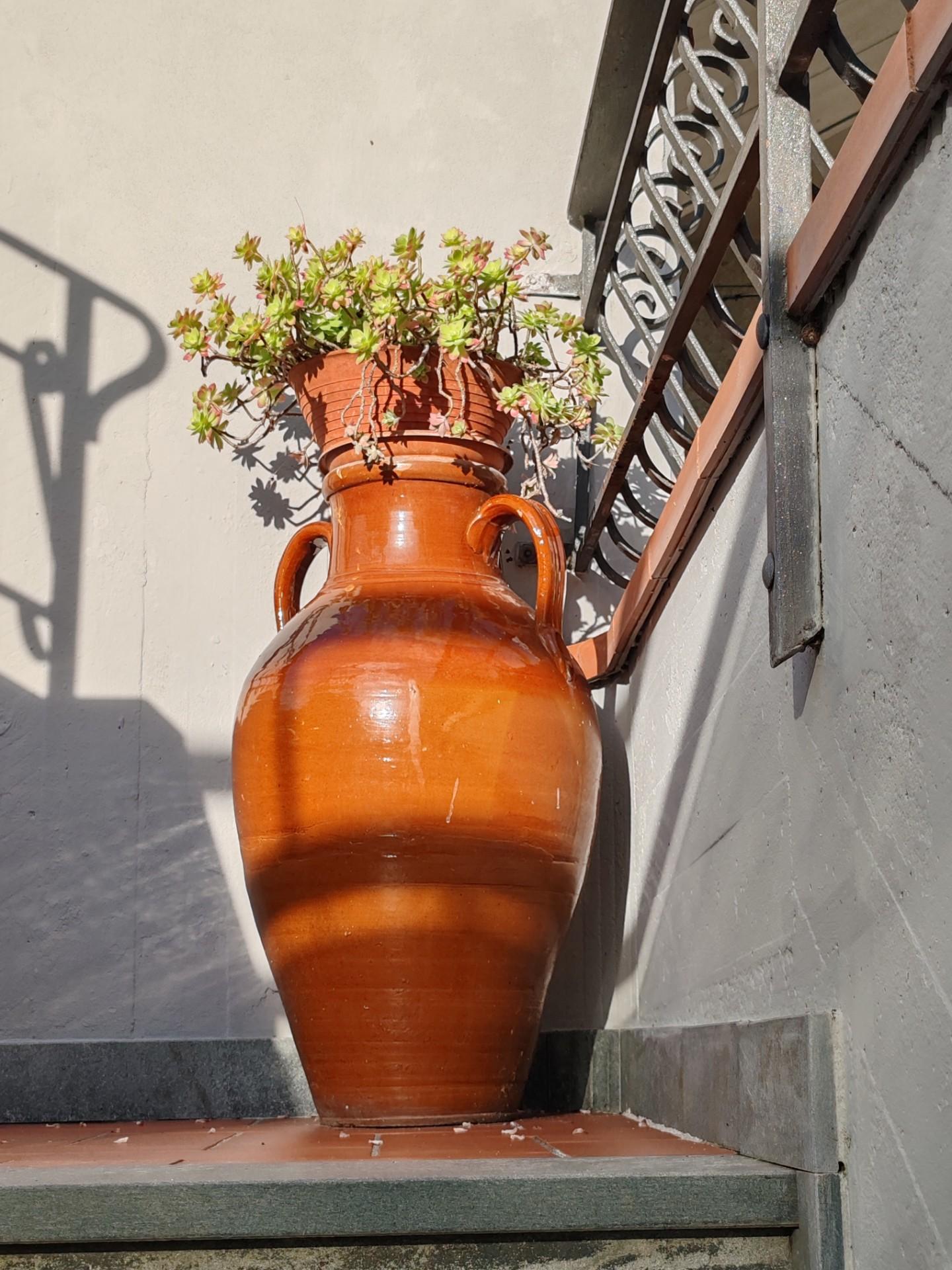 Appartamento con giardino a Massa