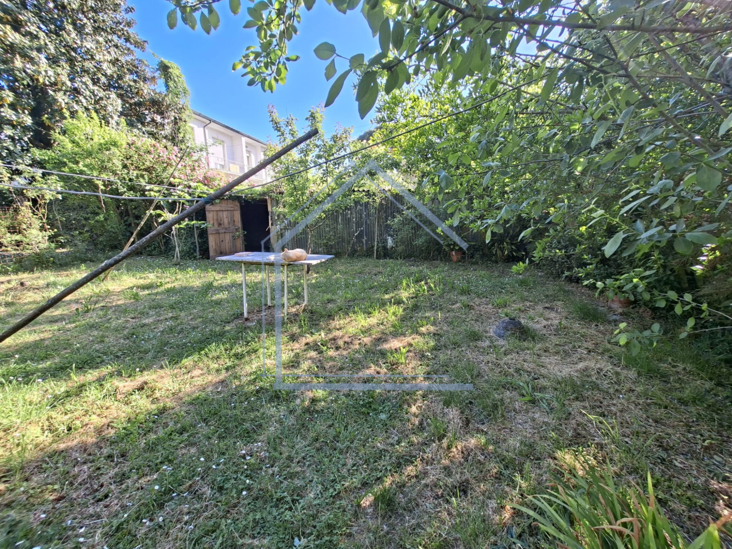 Casa indipendente con giardino, Camaiore centro