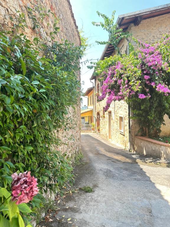 Casa – Camaiore, Pieve